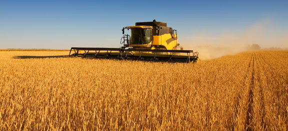 La sicurezza sul lavoro in agricoltura