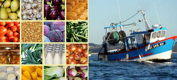 Interventi per la promozione dell’aggregazione di imprese agricole e della cooperazione per lo sviluppo del sistema agroalimentare e della pesca